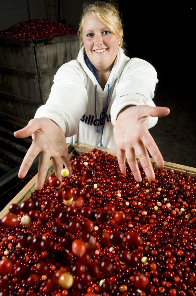 Cranberries!
