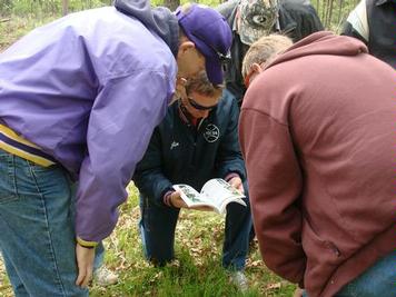 Students identifying plants