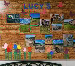 Lucy's Garden Update